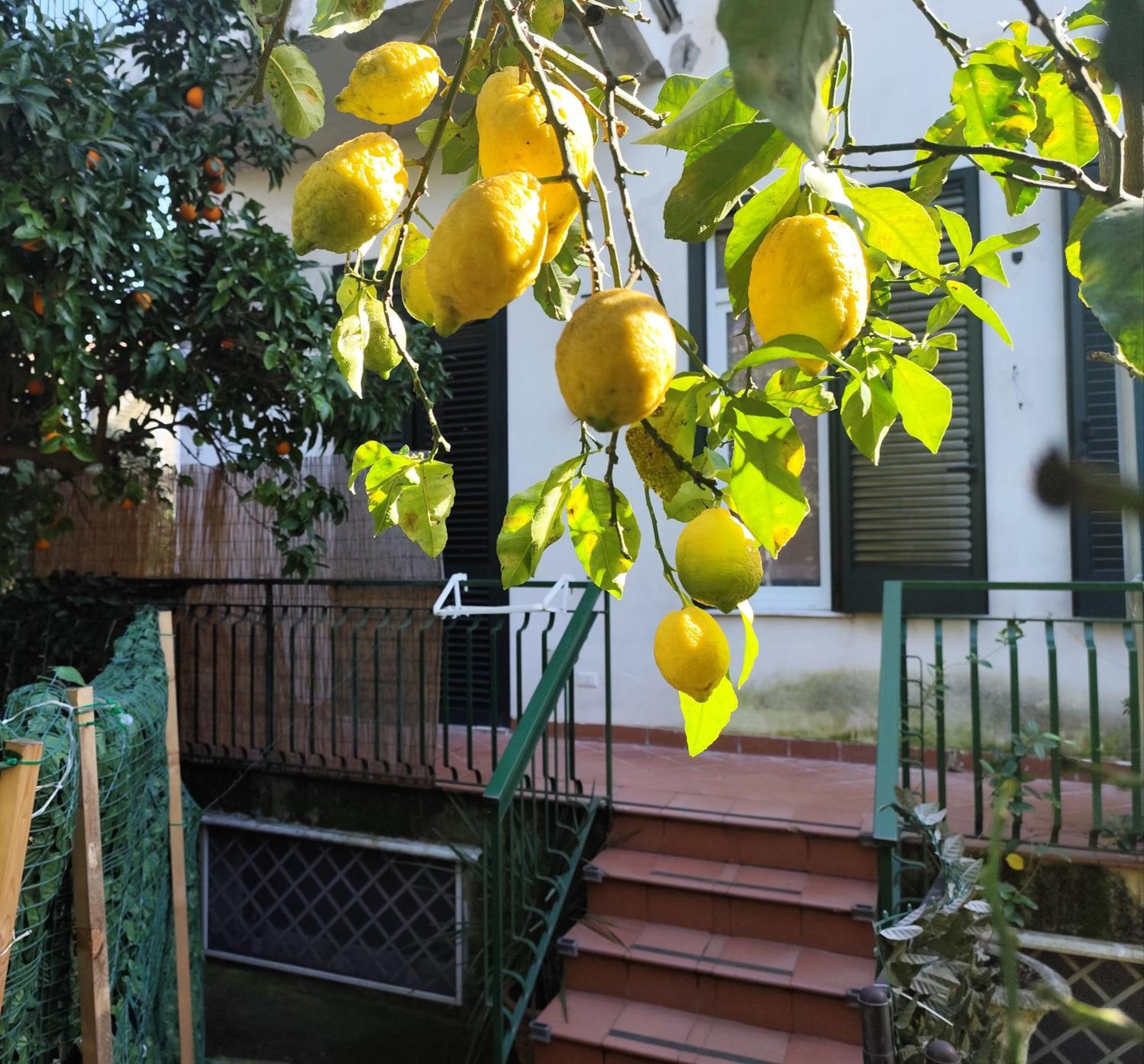 Beatrice Room Bed&Breakfast Sant'Agnello Luaran gambar